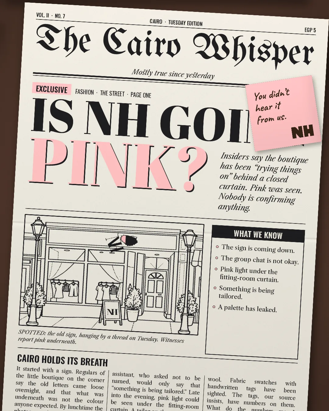Teaser 4 — The Cairo Whisper asks 'Is NH going pink?'